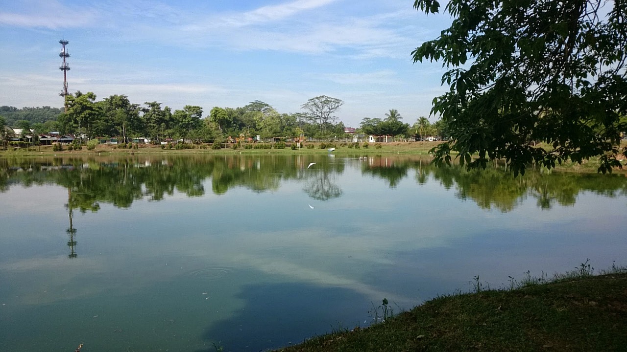 龙口地级市最新消息全面解读与动态更新