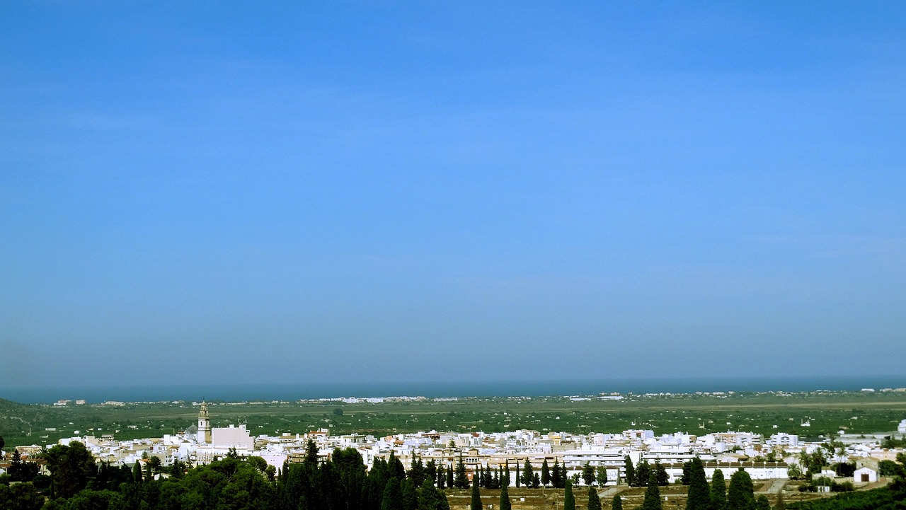 心已空梦已醒 第14页