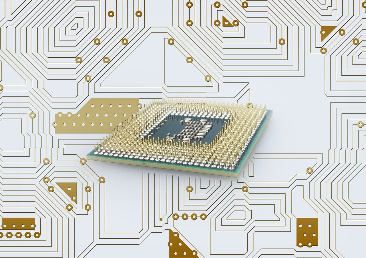 最新自卫策略与技术，构建适应时代需求的自我防护能力