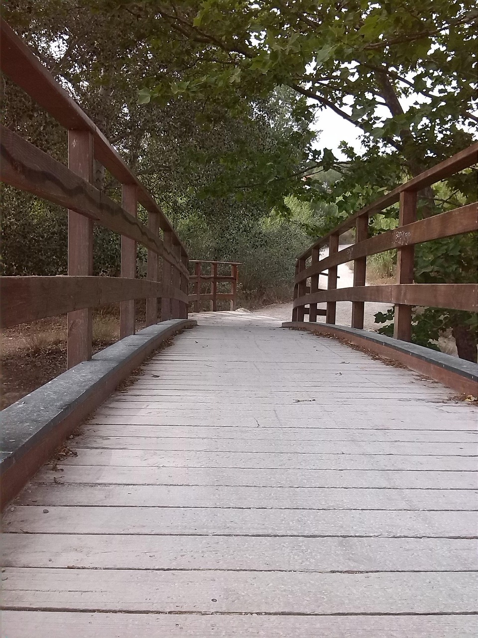 宜华木业引领行业变革，推动可持续发展新动态